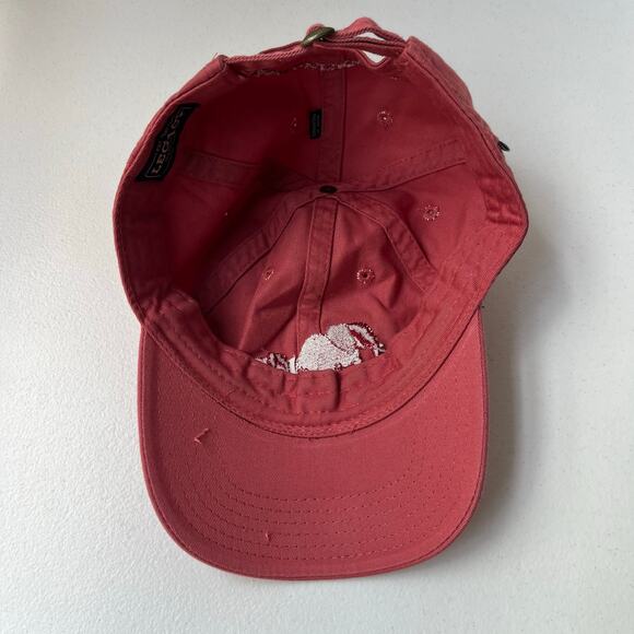 Dave Matthews Band Elephant Dad Hat Embroidered Legacy Cap Tour Concert Festival main image 11